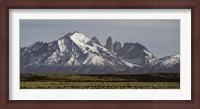 Framed Field with snowcapped mountains, Paine Massif, Torres del Paine National Park, Magallanes Region, Patagonia, Chile