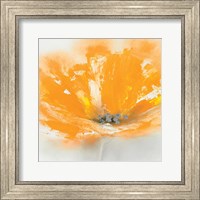 Framed Wild Orange Sherbet I