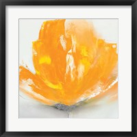 Framed Wild Orange Sherbet II