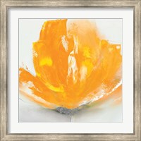 Framed Wild Orange Sherbet II