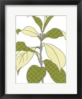 Modern Foliage I Framed Print