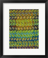 Island Rhythm I Framed Print