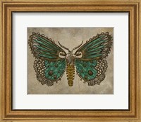 Framed Lace Wing I