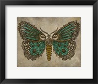 Lace Wing I Framed Print