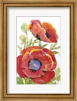 Framed Poppy Floral II