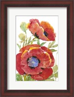 Framed Poppy Floral II
