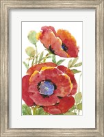 Framed Poppy Floral II