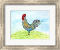 Framed Meadow Rooster