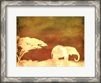 Framed Safari Sunrise I