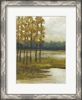 Framed Etoile I