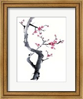 Framed Plum Blossom Branch I