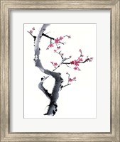 Framed Plum Blossom Branch I