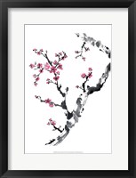 Framed Plum Blossom Branch II