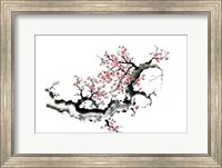 Framed Plum Blossom Branch III