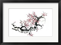 Framed Plum Blossom Branch III