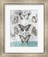 Framed Butterflies & Filigree I