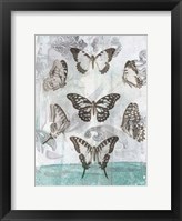 Butterflies & Filigree I Framed Print