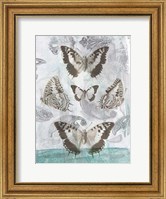 Framed Butterflies & Filigree II