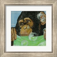 Framed Bubbles - James