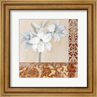 Framed Portrait of a White Lily