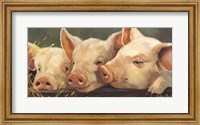 Framed Pig Heaven