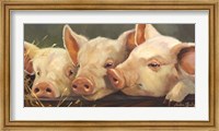 Framed Pig Heaven