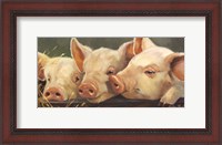 Framed Pig Heaven