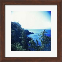 Framed Holga Hawaii II