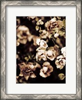 Framed Romantic Roses I