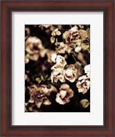 Framed Romantic Roses I