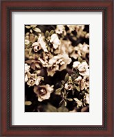 Framed Romantic Roses II