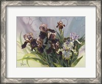 Framed Hadfield Irises IV