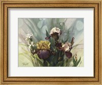 Framed Hadfield Irises VI