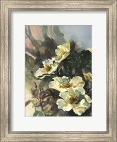 Framed Hadfield Roses II