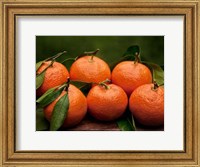 Framed Satsuma Tangerines II