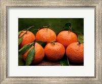 Framed Satsuma Tangerines II