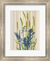 Framed Strip Garden I