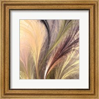 Framed Fountain Grass I