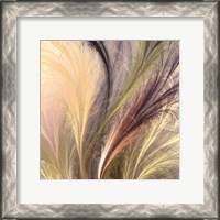 Framed Fountain Grass I