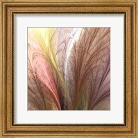 Framed Fountain Grass II