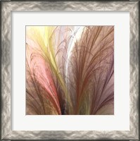 Framed Fountain Grass II