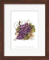 Framed Watercolor Grapes I