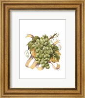 Framed Watercolor Grapes II
