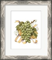Framed Watercolor Grapes II