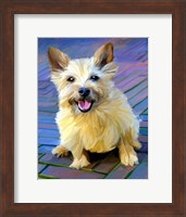 Framed Cairn Terrier