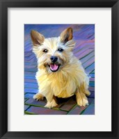 Framed Cairn Terrier
