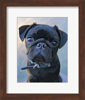 Framed Pug Baby Blue