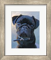 Framed Pug Baby Blue