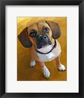 Framed Puggle Bright Delight