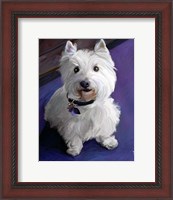 Framed West Highland Terrier